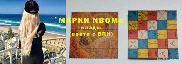 хмурый Козловка