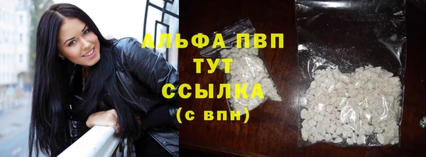 индика Коряжма