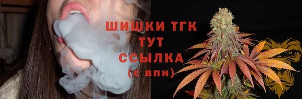 индика Коряжма