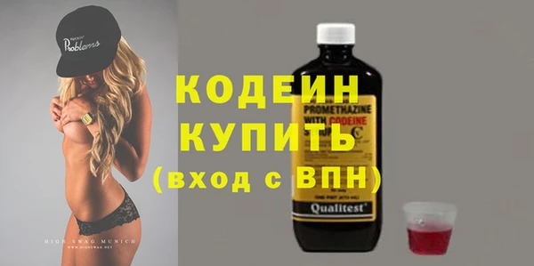 индика Коряжма