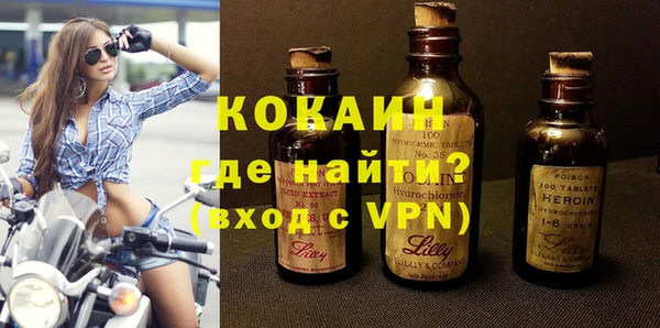 индика Коряжма