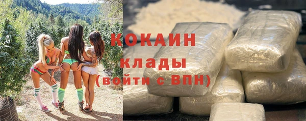 индика Коряжма