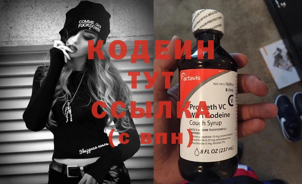 прущие крисы Корсаков