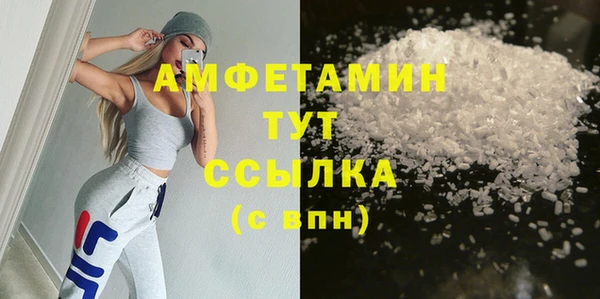 индика Коряжма