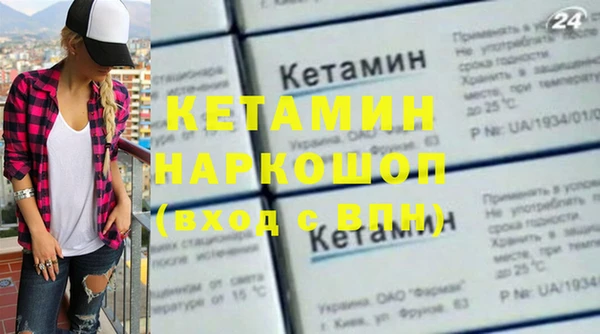 индика Коряжма