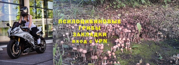 прущие крисы Корсаков