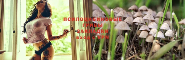 прущие крисы Корсаков