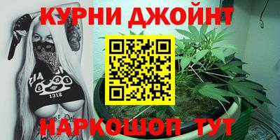гашик Ливны