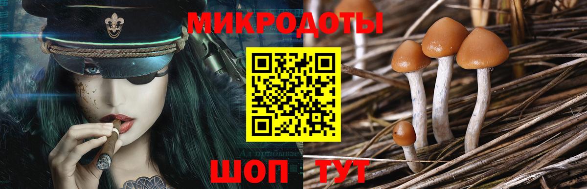 Псилоцибиновые грибы ЛСД  Галлюциногенные грибы прущие грибы  Вход с VPN  Красноармейск 